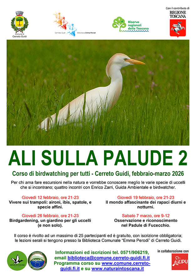 Ali sulla palude 2 - Locandina