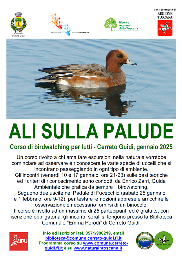 Ali sulla palude locandina