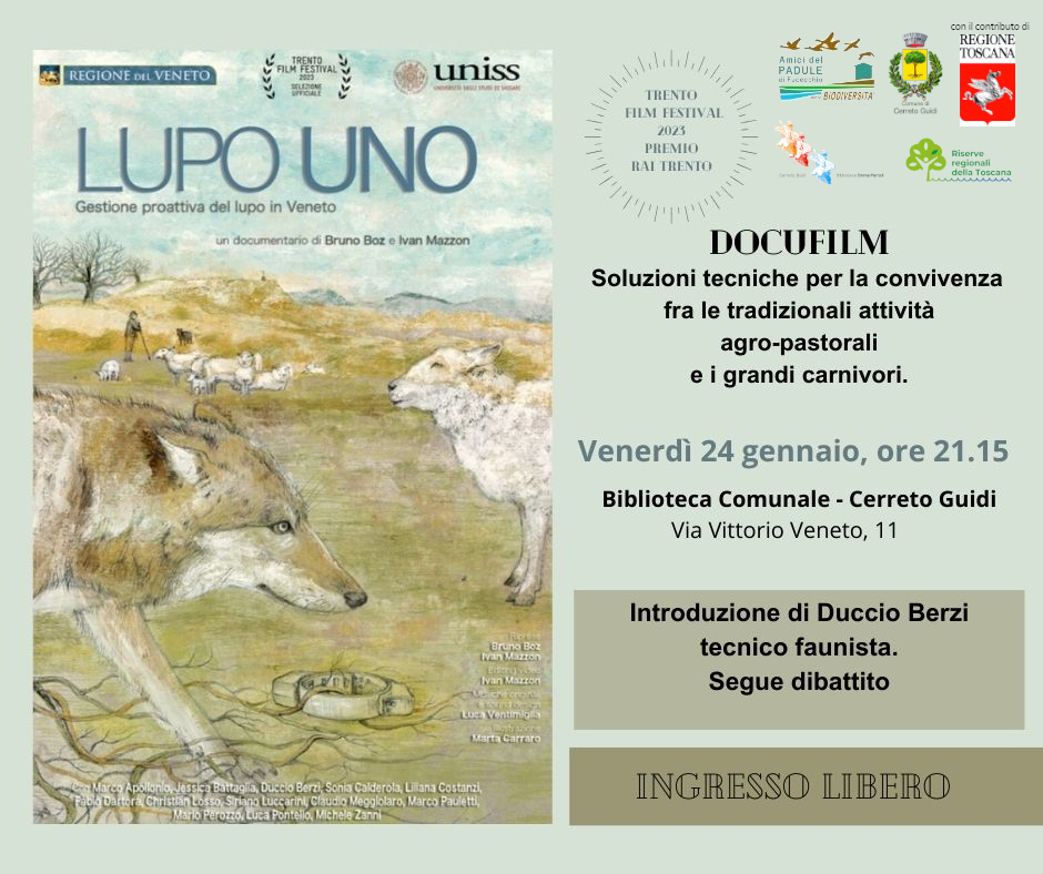 Locandina Lupo Uno