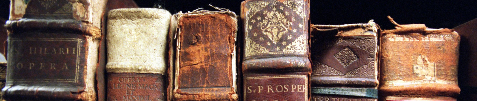 Sezione locale e Fondo Baer-Morosini Biblioteca di Montespertoli