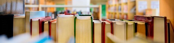 Biblioteca Arturo Nord/Sud