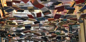 La biblioteca a giugno. Fucecchio 